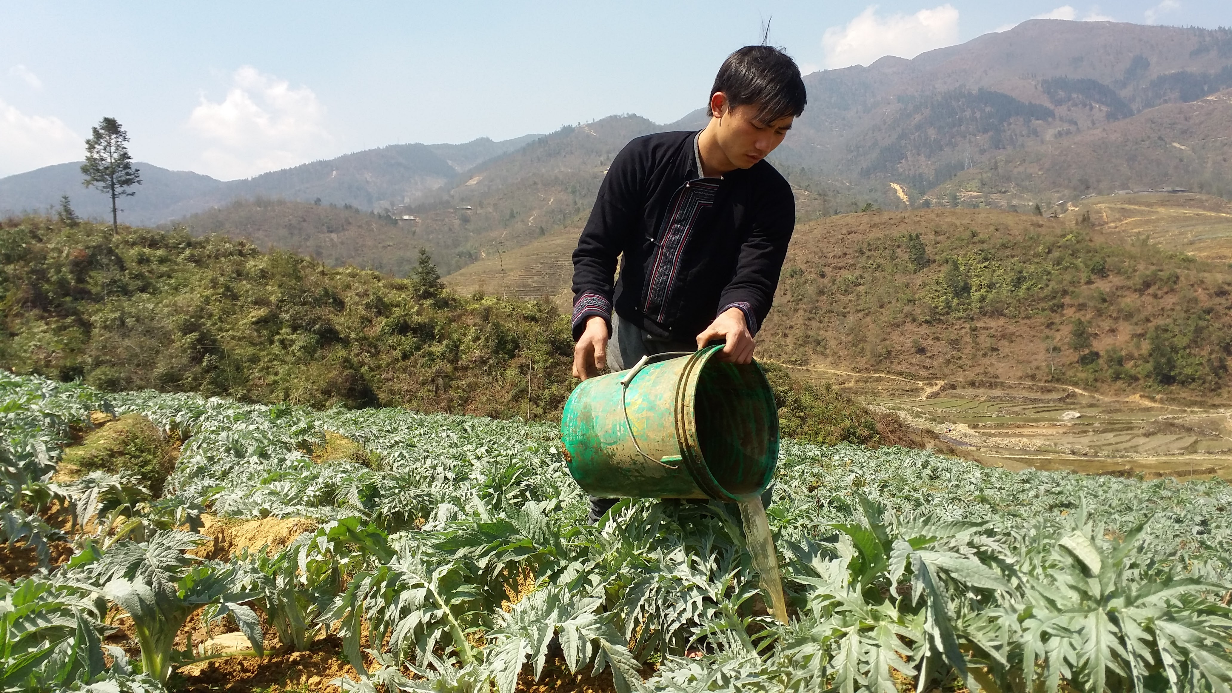 អាមេរិកដាក់ឲ្យដំណើរការប្រព័ន្ធការពារកាំជ្រួចនៅអឺរ៉ុប
